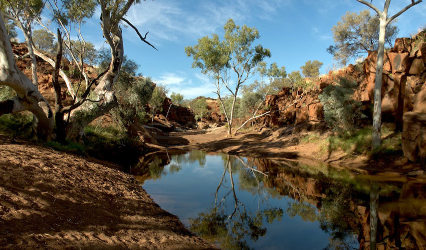 Eating for Nutrition