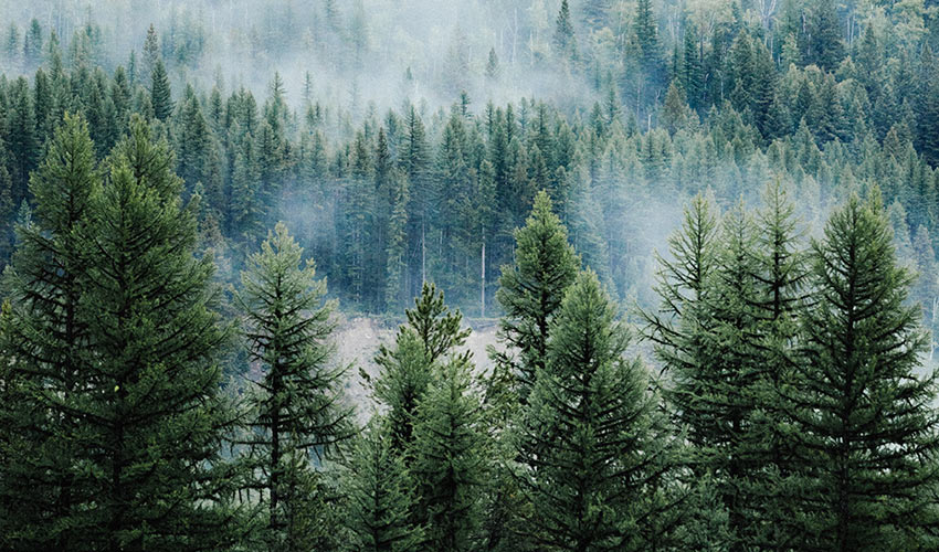 A Multi for Body Movement