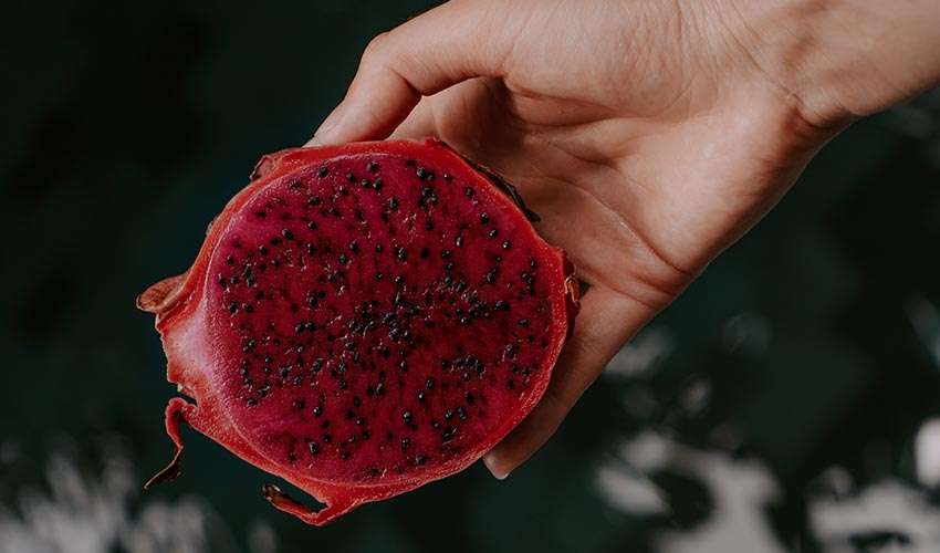 Benefits to Dragon Fruit Powder