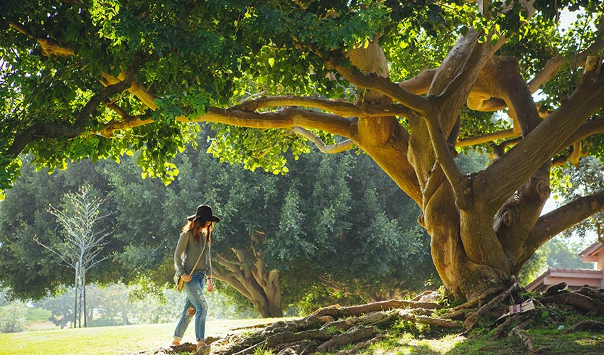 Cellular Function & Health