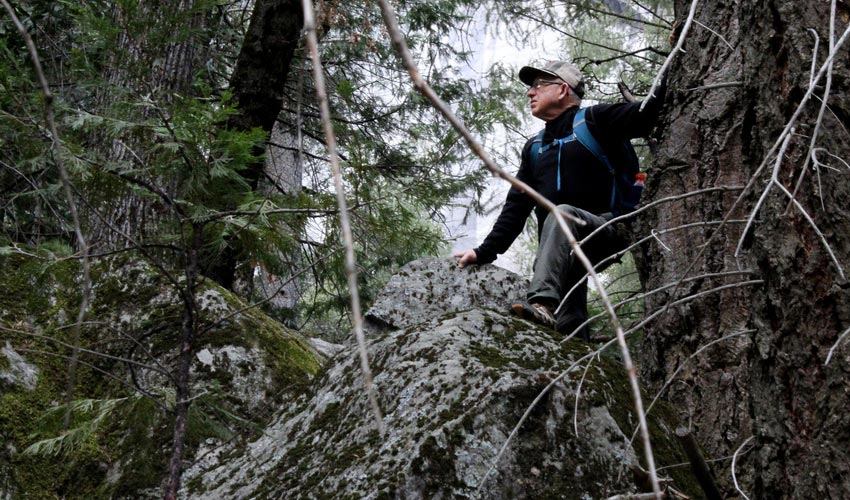 Age Defying Wellness