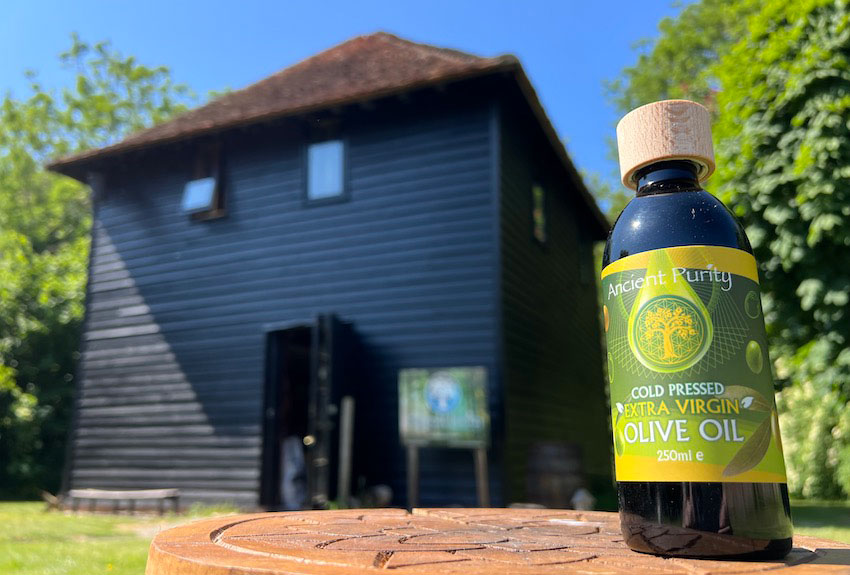 Ancient Purity Extra Virgin Olive Oil