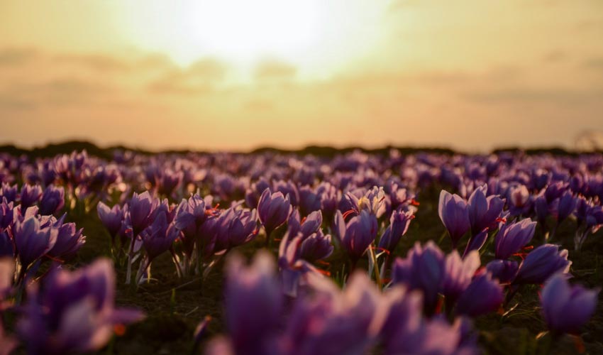 Carries Certain Risks