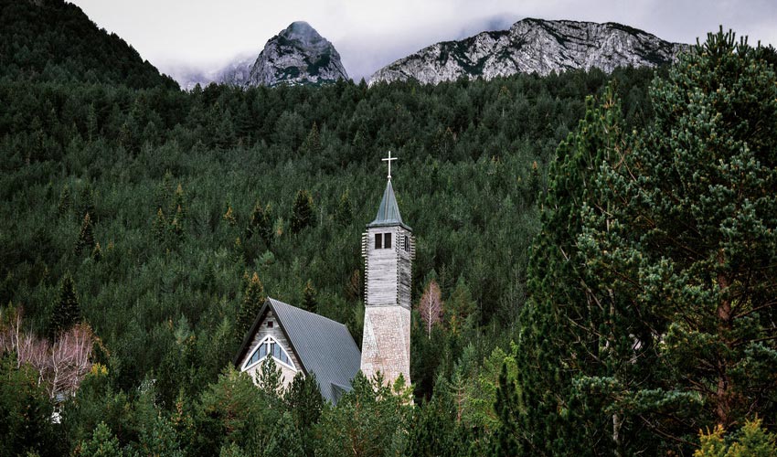 Nutritional Powerhouse