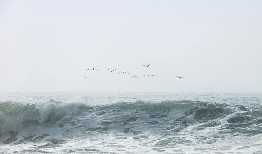 Ayurvedic Interpretation