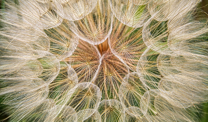 Spiritual Significance of Circles