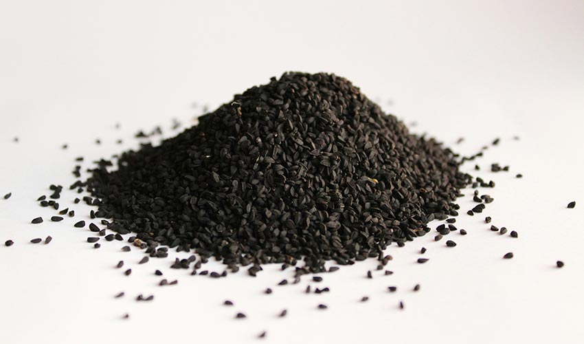 Rich Egyptian History