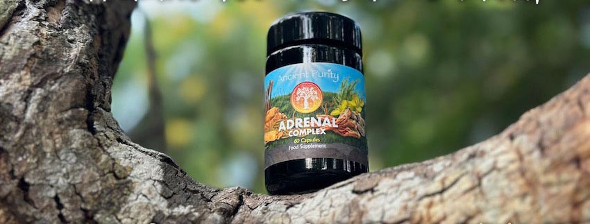 Ancient Purity Adrenal Complex