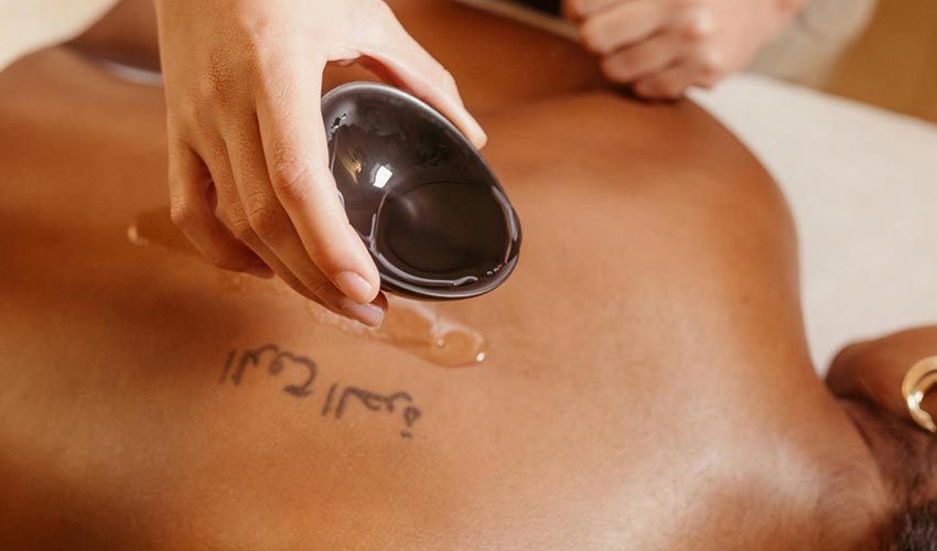 Healthy Substances in Apricot Kernel Oil