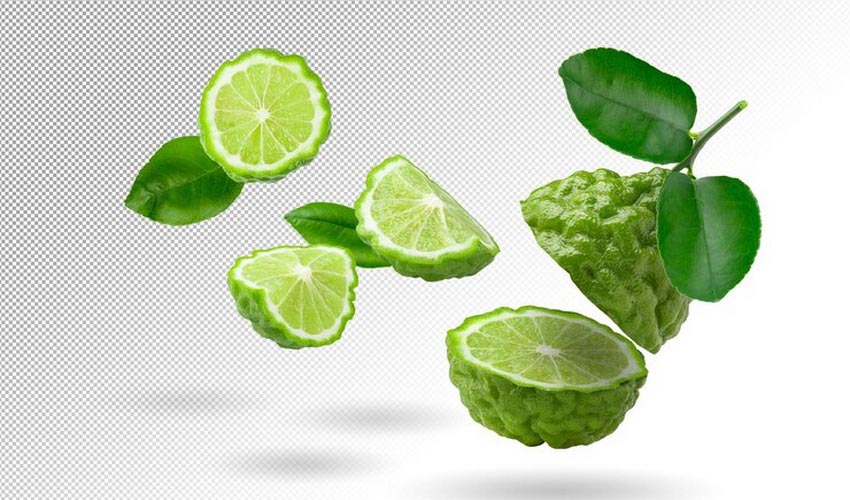 Kaffir Lime