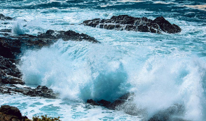 Oyster Extract Health Benefits