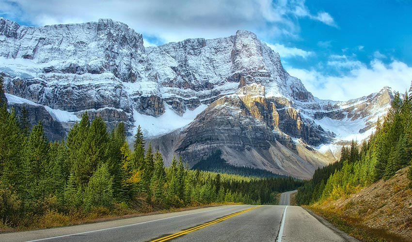 Thriving Through Uncertainty