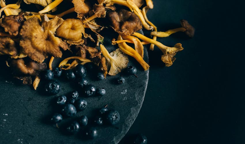 Purchasing Herbal Remedies