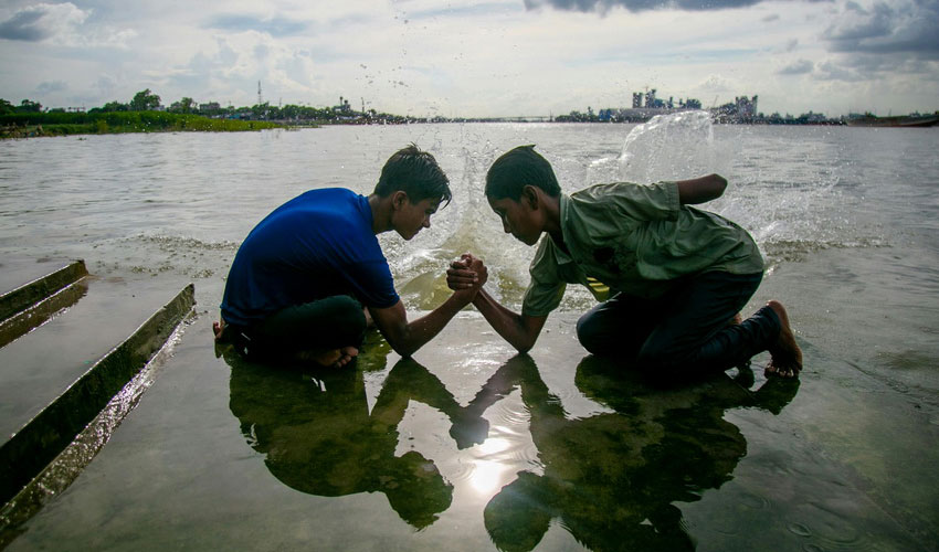 Immune System Support