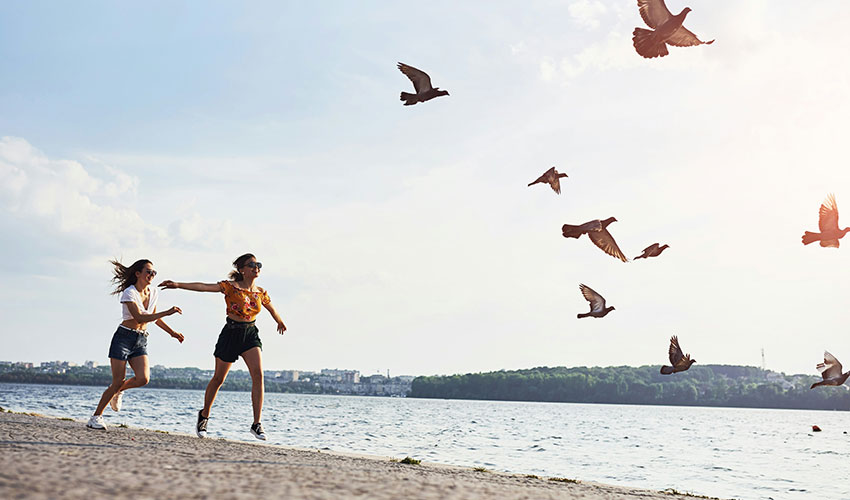 Autoimmune Disorders