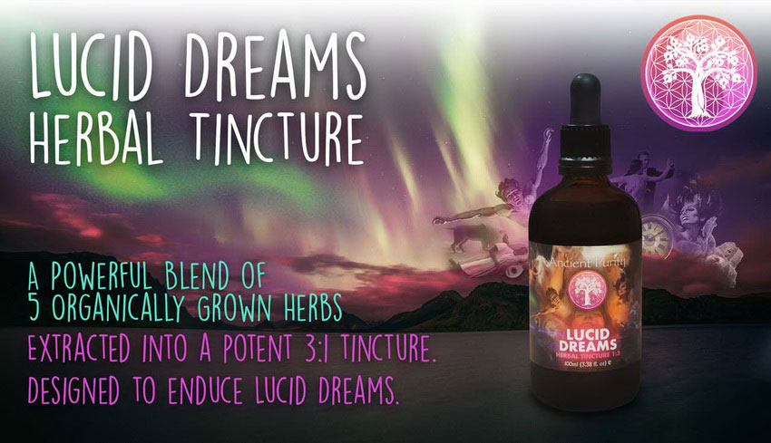 Lucid Dream Herbal Tincture