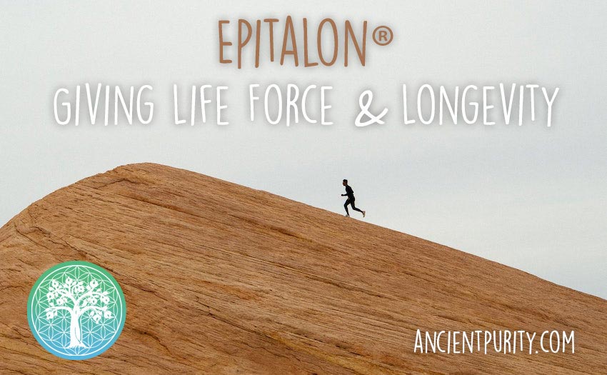 Ancient Purity Epitalon