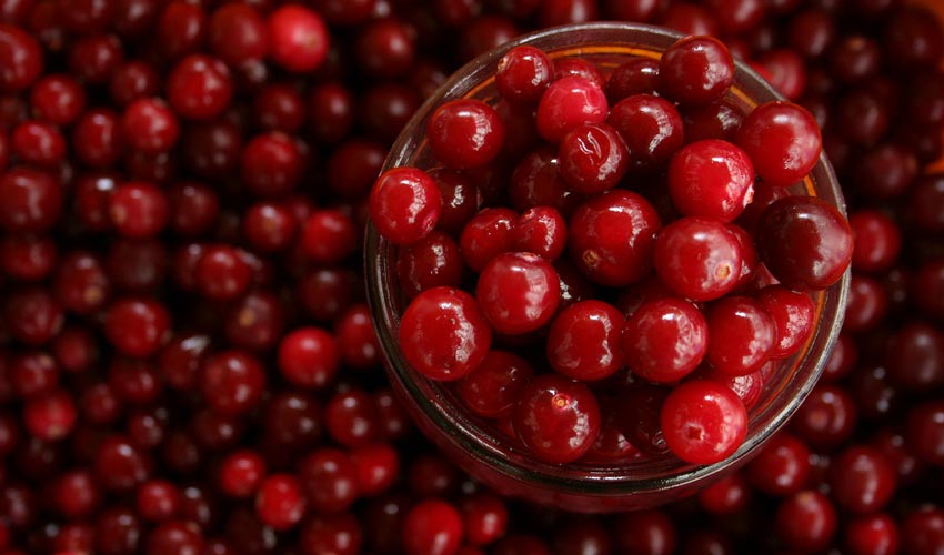 Cranberries