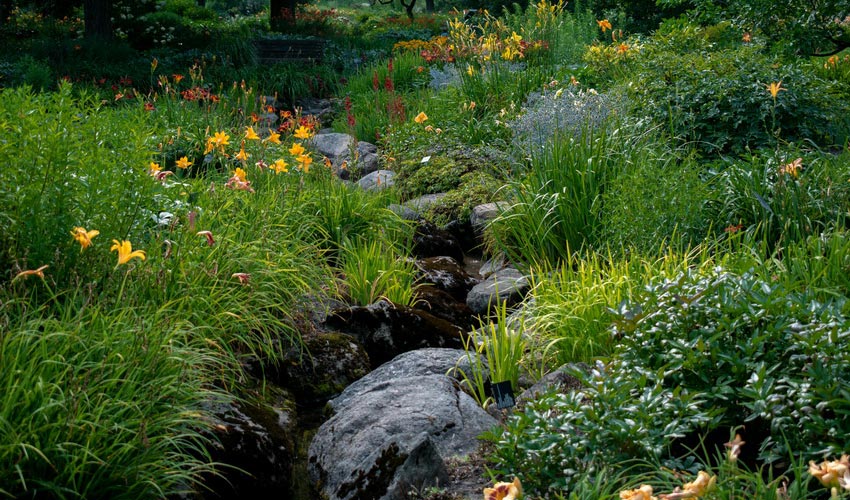 Scientific Validation