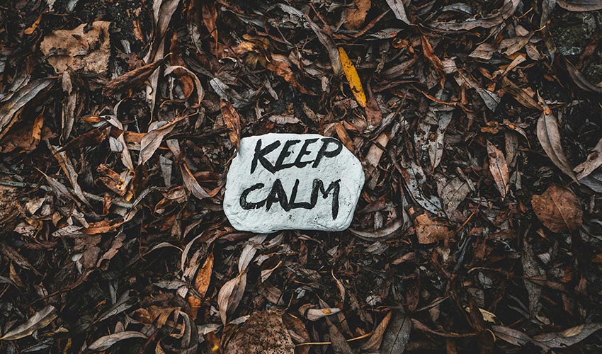 Supporting Vagal Tone