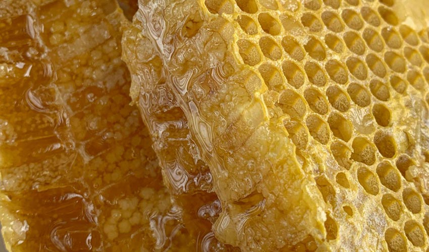 Virgin Beeswax