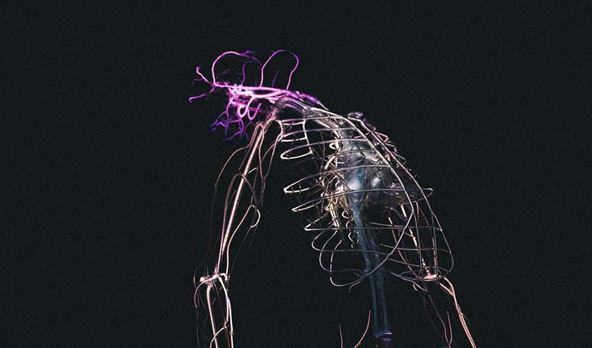 What is the vagus nerve