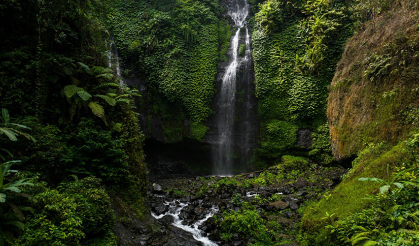 Blend of Tradition & Nature