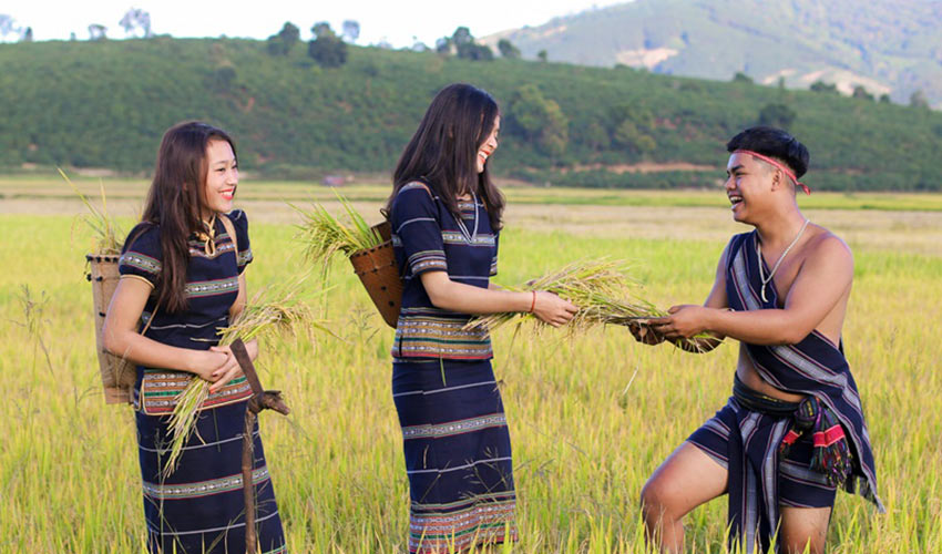 Relevance in Contemporary Healthcare