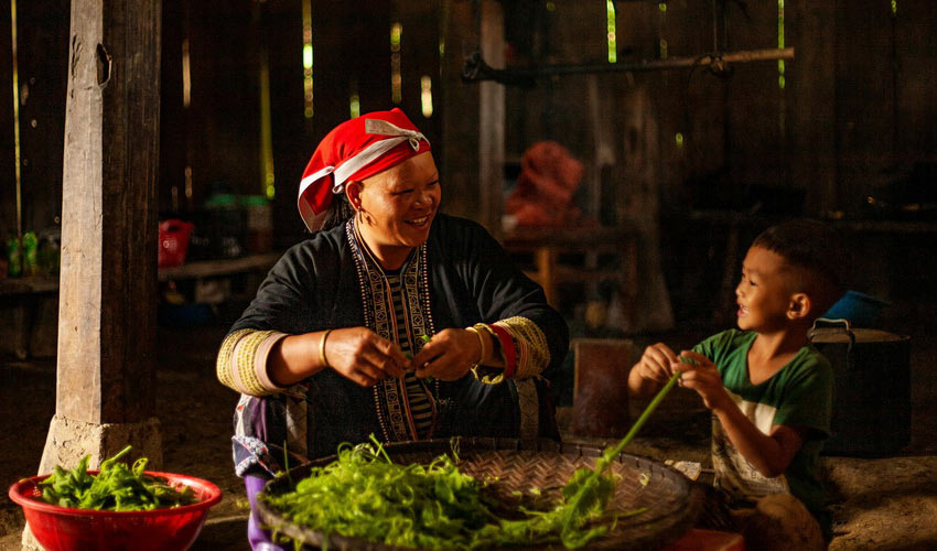 Meal Prep Activities