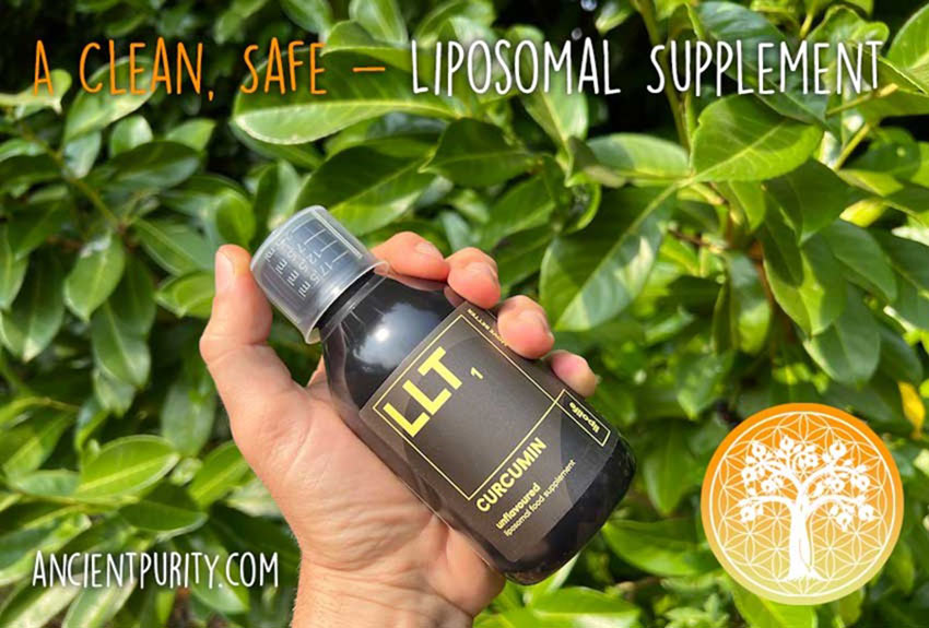 Thai Traditional Medicine