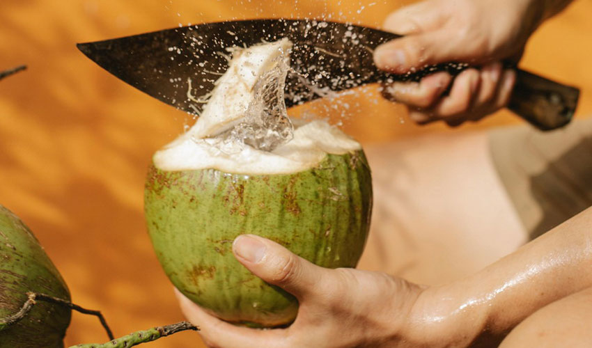 Alzheimer’s Disease