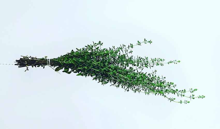 Foods & Drinks to Avoid