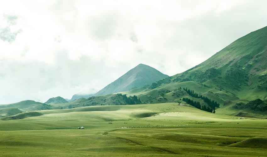 Green in Colour Therapy