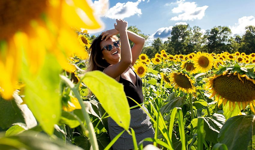 Grounding Affirmations for Daily Balance