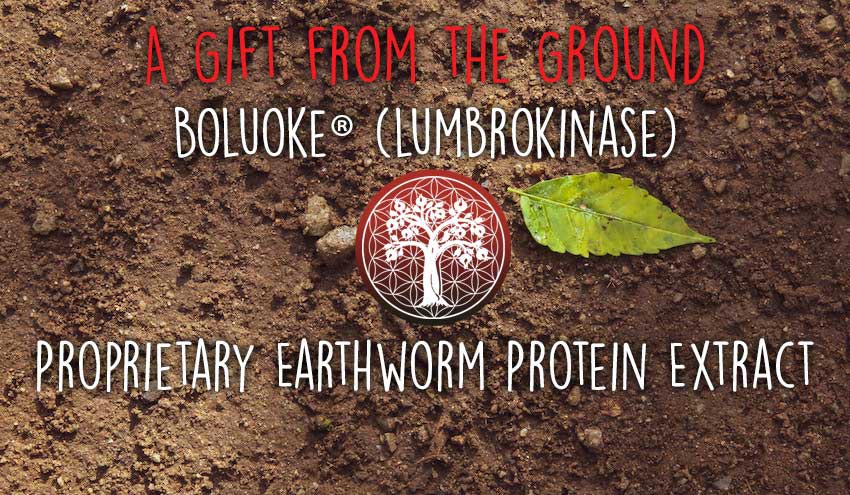 Lumbrokinase Can Help