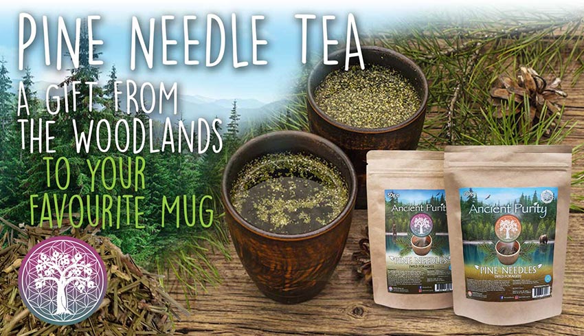 Pine Needles Tea