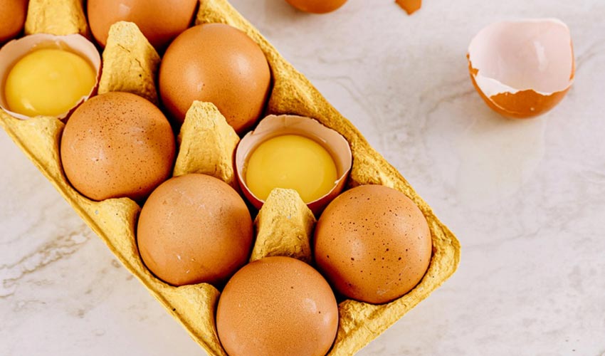 Potency of Egg Yolks