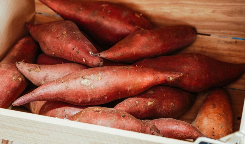 Savoury Sweet Potato