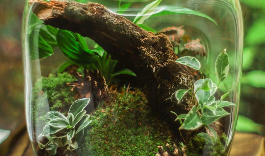 Sustainable Lifestyle