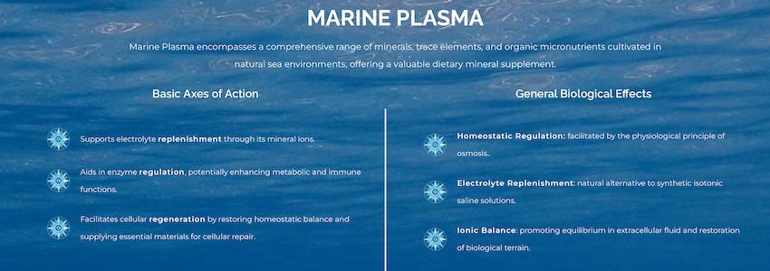 Marine Plasma the Future