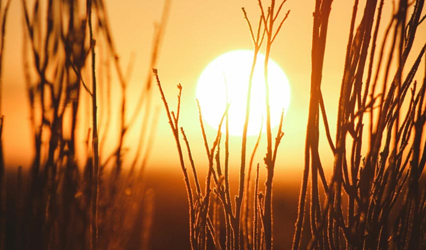 Yellow in Colour Therapy