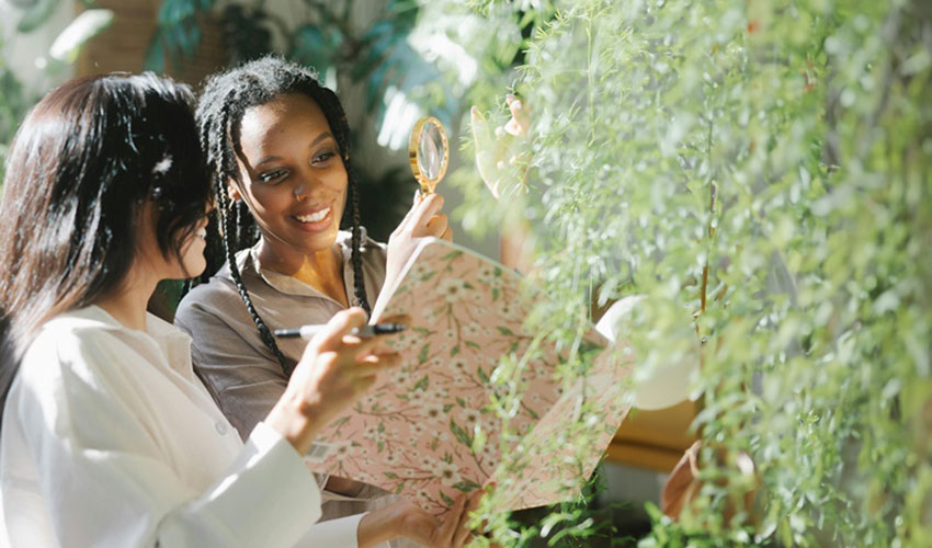 Adaptogenic Botanicals