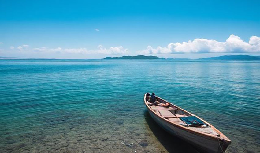 Harnessing Neuroplasticity