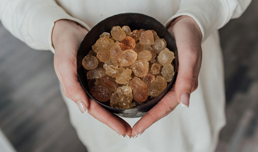 A Holistic Perspective