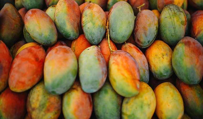 Mangoes