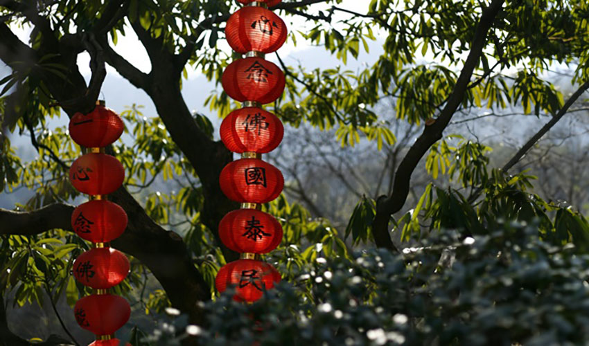 Traditional Chinese Medicine