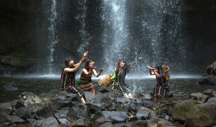 Cell Cycle Inhibitor