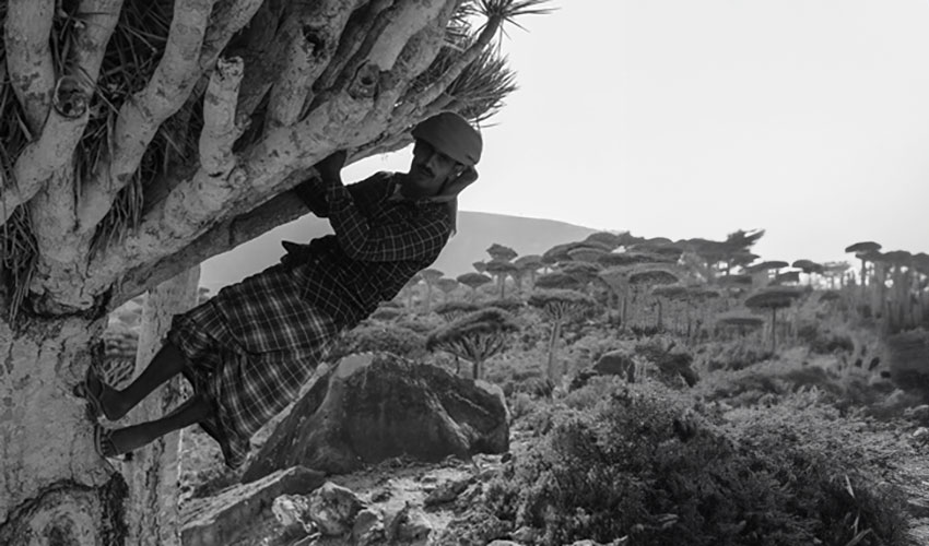 People of Socotra