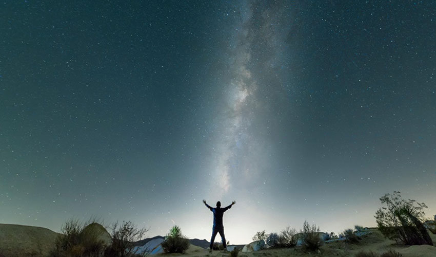 Solitude & Connection