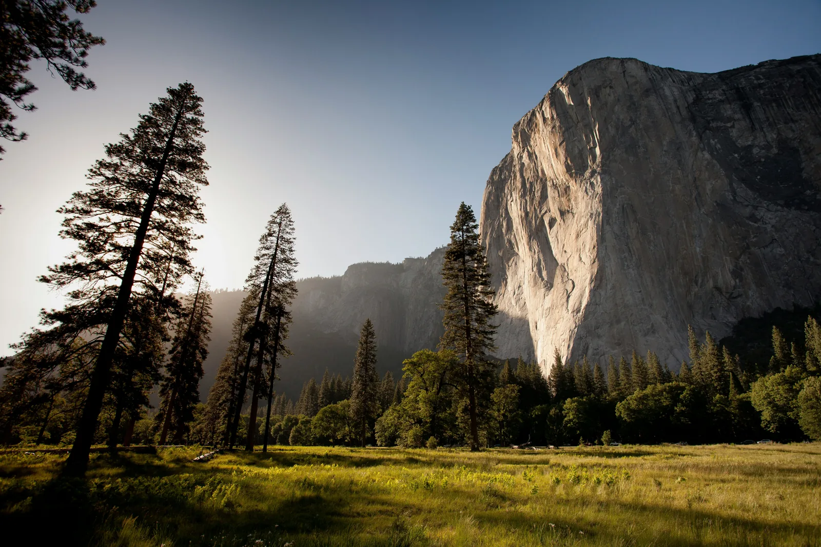 Sunlight illuminating a mountain valley and pine forest